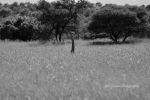 IMG 7740